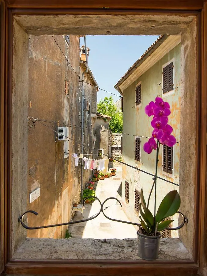 Villa Di Piazza Visnjan Apartment